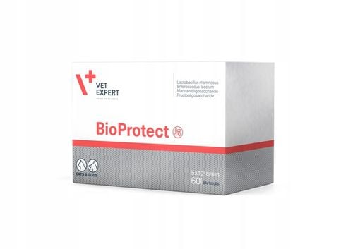 VETEXPERT BIOPROTECT 60 KAPSUŁKA na Arena.pl