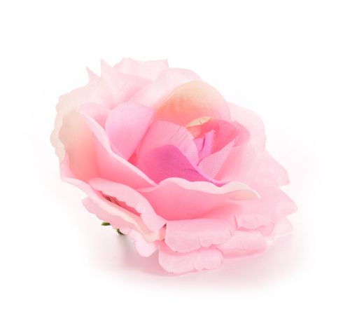 Róża główka mauve 12szt na Arena.pl