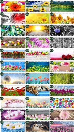 Osłona na balkon dekoracja balkonu SURFINIE kwiaty 10x10 cm na Arena.pl