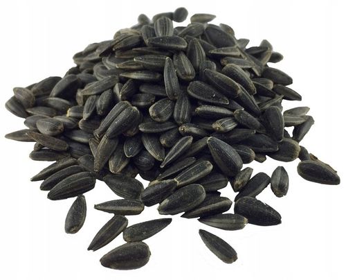 Słonecznik czarny drobny 20 kg karma dla ptaków na Arena.pl