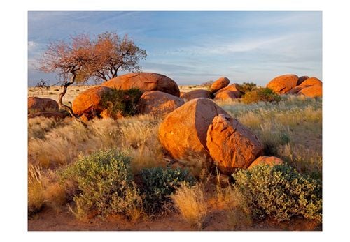 Fototapeta - Pejzaż afrykański, Namibia 250x193 na Arena.pl