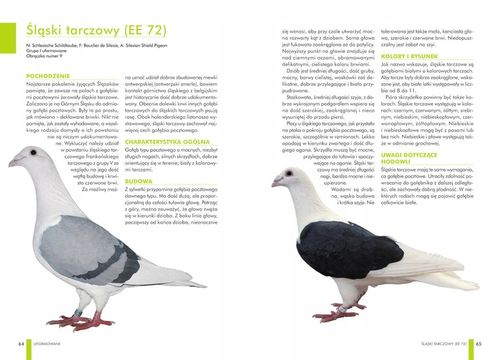 ZESTAW KSIĄŻEK O GOŁĘBIACH ATLAS GOŁĘBI POLSKIE RASY I GOŁĘBIE BARWNE 148 na Arena.pl