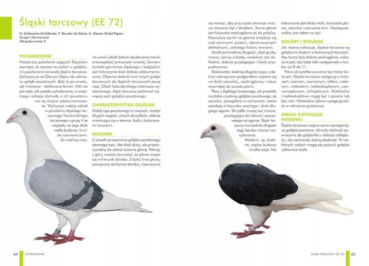 ZESTAW KSIĄŻEK O GOŁĘBIACH ATLAS GOŁĘBI POLSKIE RASY I GOŁĘBIE BARWNE 148 zdjęcie 6