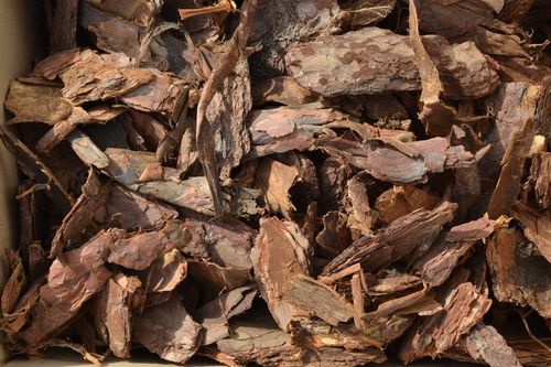 Kora sosnowa sortowana GRUBA 80 l, przesiewana na Arena.pl