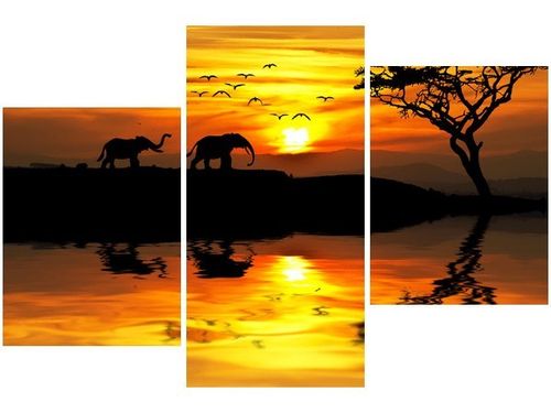 60 90CM OBRAZ 3 ELEM AFRYKA ŚCIENNY DRUK PŁÓTNO na Arena.pl