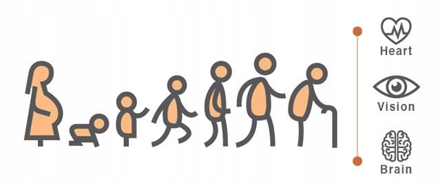 Aliness Vegan Omega 3 FORTE DHA 500mg SERCE 60kap zdjęcie 7