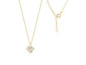 Elegancki pozłacany srebrny naszyjnik gwiazd celebrytka psia/kocia łapka białe cyrkonie srebro 925 Z1547N_G