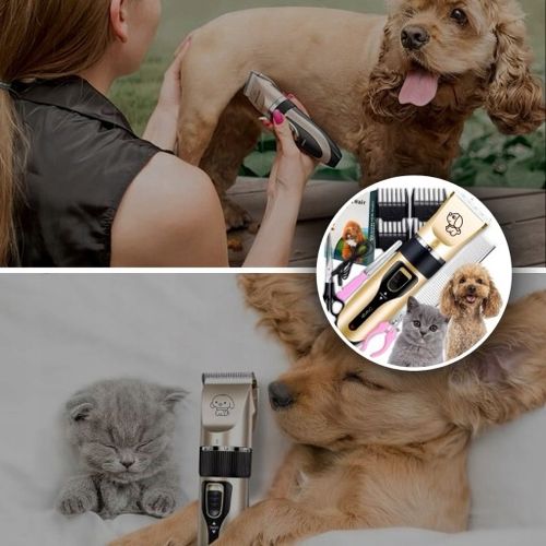 MASZYNKA DO STRZYŻENIA PSA PSÓW KOTÓW ZWIERZĄT GOLARKA ZESTAW CICHA 12W1 na Arena.pl