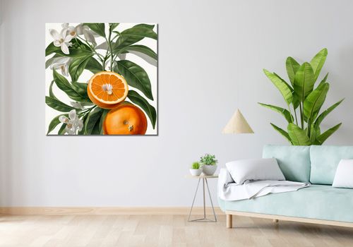 Obraz 100x100cm Dojrzałość Pomarańczy na Arena.pl
