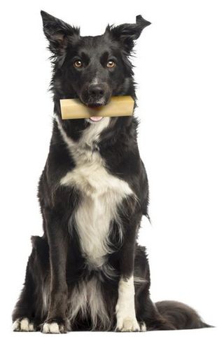 Pyszny i zdrowy przysmak dla psa Zolux kość z sera himalajskiego Giant 151g na Arena.pl