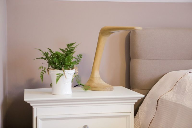 CONCORDIA zdjęcie 5