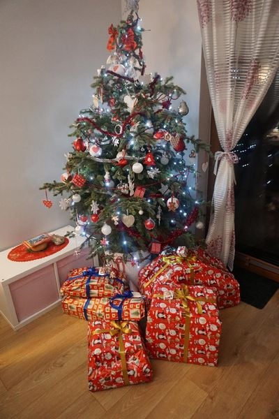 Zestaw małych narzędzi ogrodowych 1 zdjęcie 5