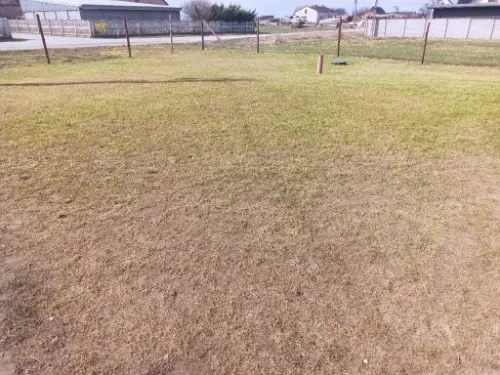 NASIONA TRAWY 5KG TRAWA SAMO ZAGĘSZCZAJĄCA ODPORNA UNIWERSALNA GREENATO na Arena.pl