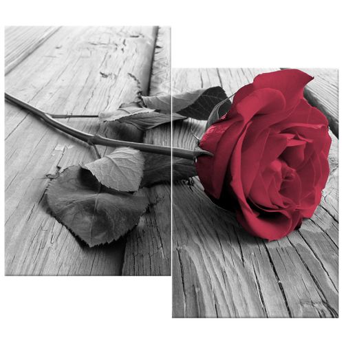 Obraz Na Płótnie 80X70 Zniewalająca Róża na Arena.pl