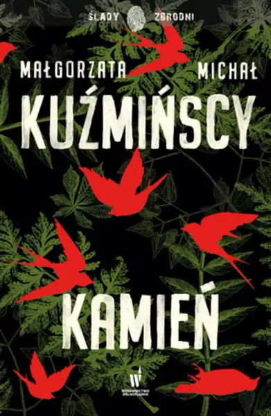 Kamień zdjęcie 1