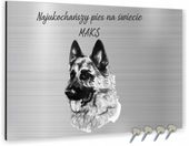 TABLICZKA NAGROBNA pamiątkowa dla psa kota NAGROBKOWA ALUMINIOWA 20x15