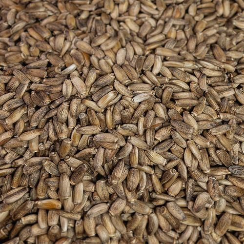 Ostropest plamisty 500g na Arena.pl