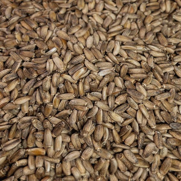 Ostropest plamisty 500g zdjęcie 3