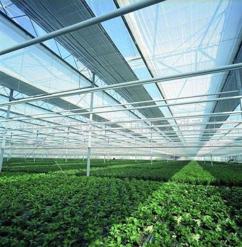 SIATKA CIENIUJĄCA NA PŁOT 62% 1,5x25m UV+ GRAFIT na Arena.pl