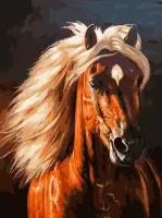 Malowanie po numerach, koń, 40x50 cm