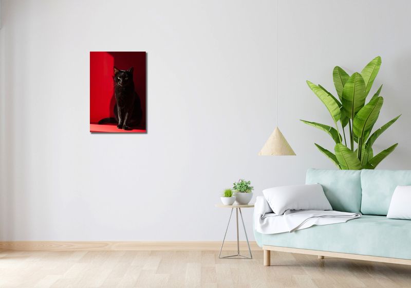 Obraz 40x60cm Elegancja w Cieniu zdjęcie 2