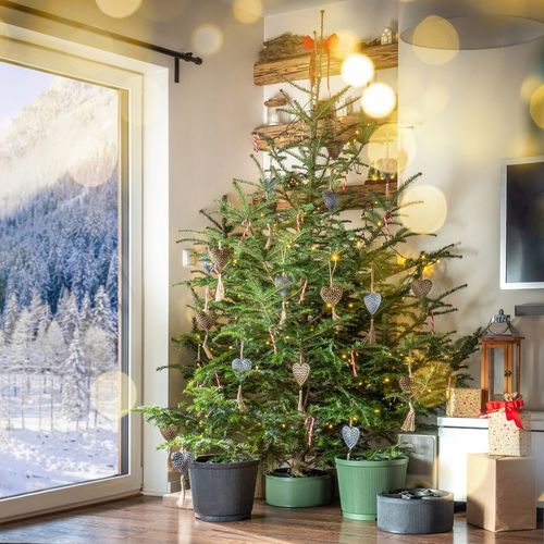 STOJAK POD CHOINKĘ CHOINKI POJEMNIK CHOINKOWY 5 L NA DRZEWKO 1,5 m ZIELONY na Arena.pl