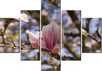 70 100CM OBRAZ 5 ELEM KWITNĄCE MAGNOLIE DRUK PŁÓTNO