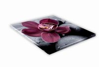 SZKLANA DESKA KUCHENNA 25x25 451e Bordowa orchidea