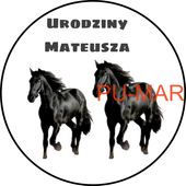 Opłatek na tort KONIE Koń Mustang Konik Kuc Urodziny Tekst Gratis