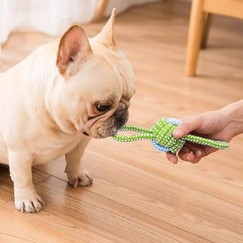 Gryzak szarpak zabawka dla psów do gryzienia 7szt na Arena.pl