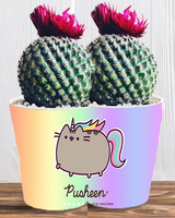 Doniczka do kwiatów/roślin - Pusheen - Kotek