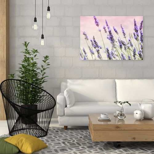 Deco Panel, Kwiaty lawendy 60x40 na Arena.pl