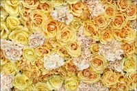 Tło fotograficzne Produktowe FLAT LAT Kulinarne