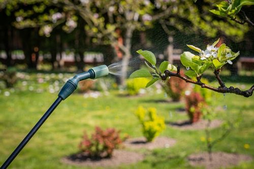 OPRYSKIWACZ CIŚNIENIOWY RĘCZNY DUŻY POJEMNOŚĆ 8L REGULACJA LANCA 98CM na Arena.pl