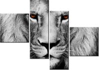 product-compare-58676445