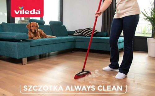 Szczotka do zamiatania sierści i włosów Always Clean Vileda Pet Pro na Arena.pl