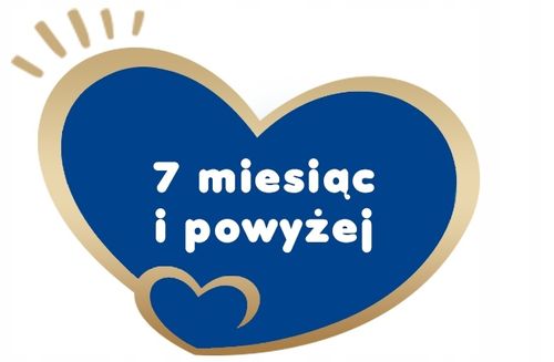 BEBIKO PRO+ 2 MLEKO NASTĘPNE PO 6m+ 700g na Arena.pl