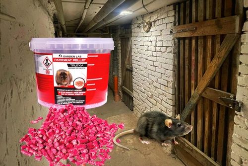 ZATRUTE ZIARNO MOCNA TRUTKA NA MYSZY SZCZURY GRYZONIE WABI na Arena.pl