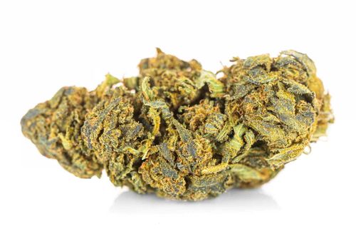 CBD SUSZ KONOPNY BLUEBERRY PRODUKT NATURALNY 20 g na Arena.pl