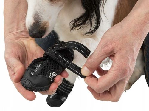 Trixie BUTY OCHRONNE Walker Active dla Psa M-L 2sz na Arena.pl