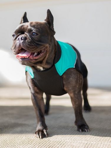 Chaba Ubranko Regulowane Wear Magnifique M Zielone na Arena.pl