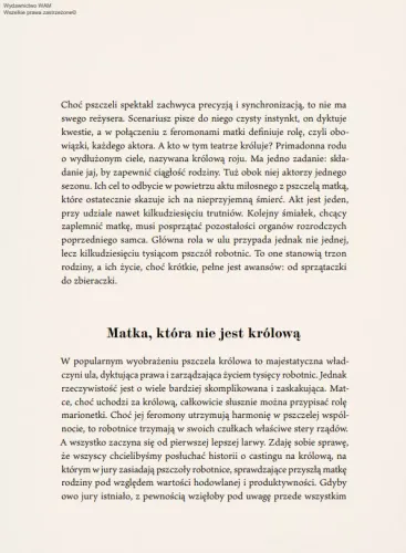 Pszczoły. Zbrodnia, intryga, miód na Arena.pl