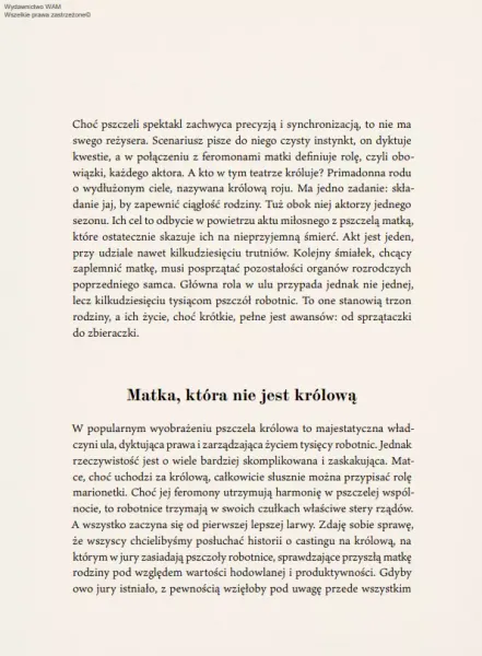 Pszczoły. Zbrodnia, intryga, miód zdjęcie 14