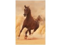 100 70CM OBRAZ PŁÓTNO KOŃ GALOPIE PŁÓTNO RAMA