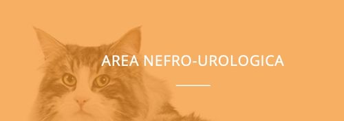 Urikrill cane e gatto PASTA 30g - NBF LANES na Arena.pl