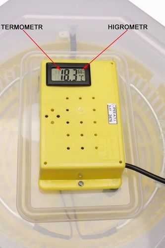 INKUBATOR CLEO 5DTHE 60/41 JAJ WYLĘGARKA KLUJNIK LCD TERMOMETR TACA na Arena.pl