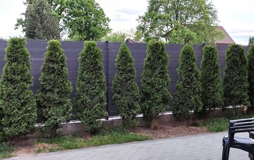 SIATKA CIENIUJĄCA 1,5x50m MASKUJĄCA 90% OSŁONA MATA NA OGRODZENIE PŁOT na Arena.pl