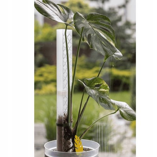 Mech Sphagnum 8L Besgrow Spagmoss Classic torfowiec 100G podłoże pH na Arena.pl