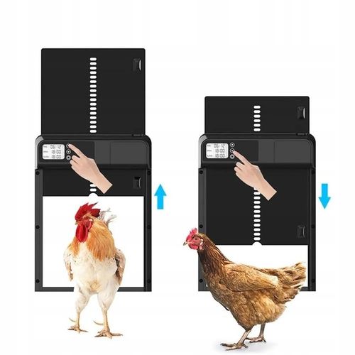 AUTOMATYCZNE DRZWI DO KURNIKA OTWIERANIE Z TIMEREM PROGRAMATOR CZUJNIK na Arena.pl