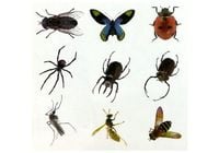 DLA DZIECI ZESTAW TWORZENIA BURSZTYNOWYCH OWADÓW